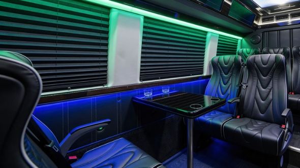 18 passenger sprinter van interior mount pleasant