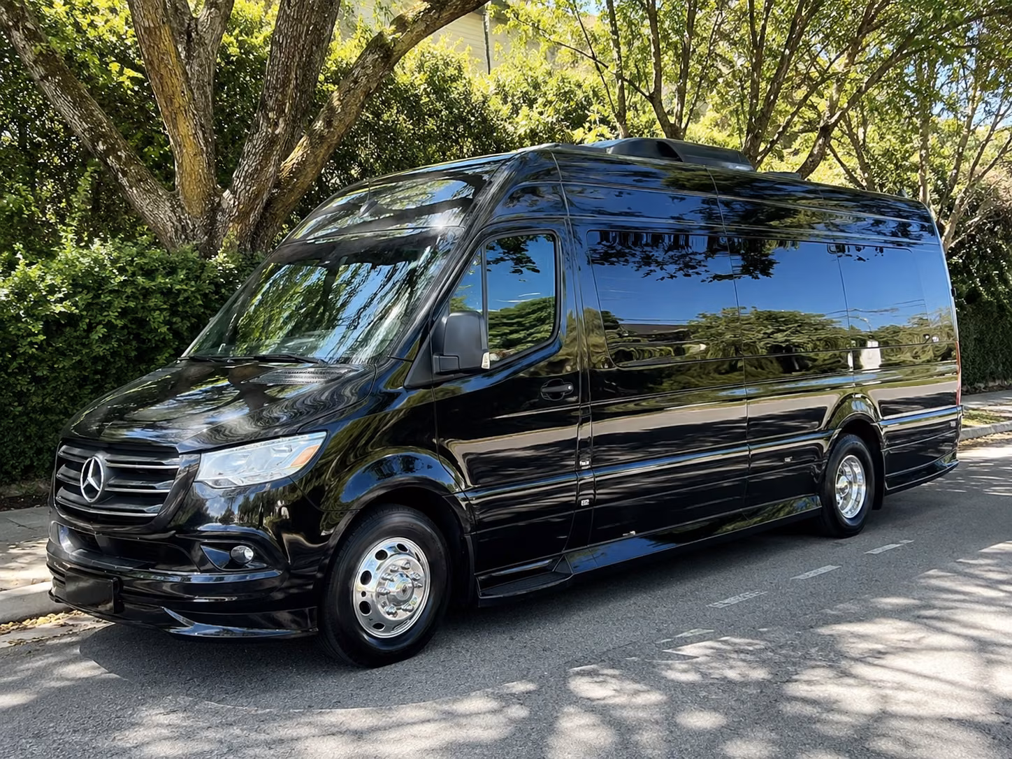sprinter van options for north charleston trips